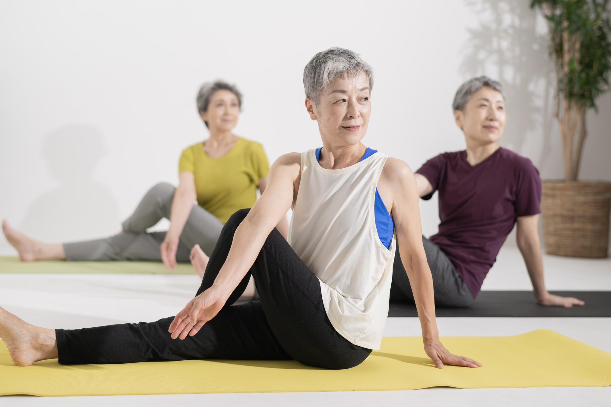 シニア運動クラブ