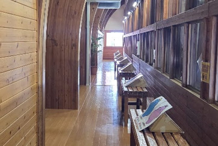 室内温水プール